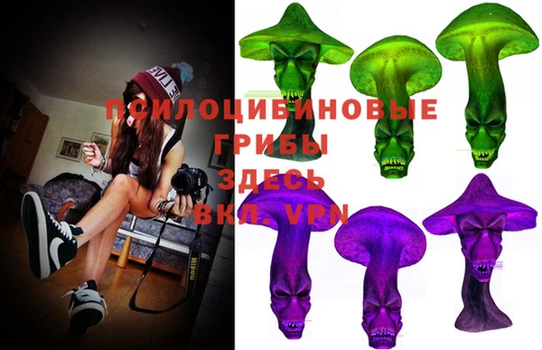 метадон Горняк