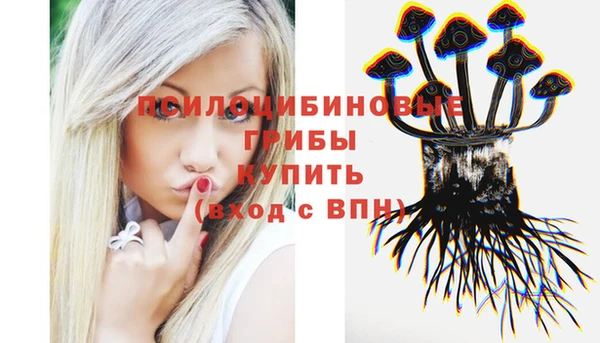 бошки Горнозаводск