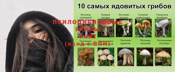 метадон Горняк