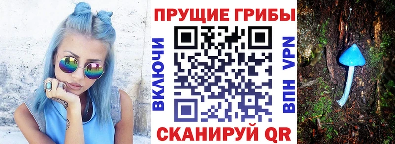 Купить где  Давлеканово  Галлюциногенные грибы Magic Shrooms 