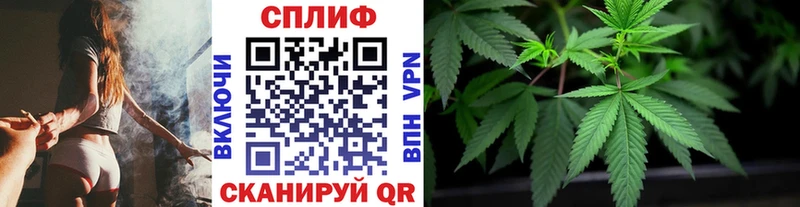 Бошки Шишки SATIVA & INDICA  Купить закладки  Давлеканово 